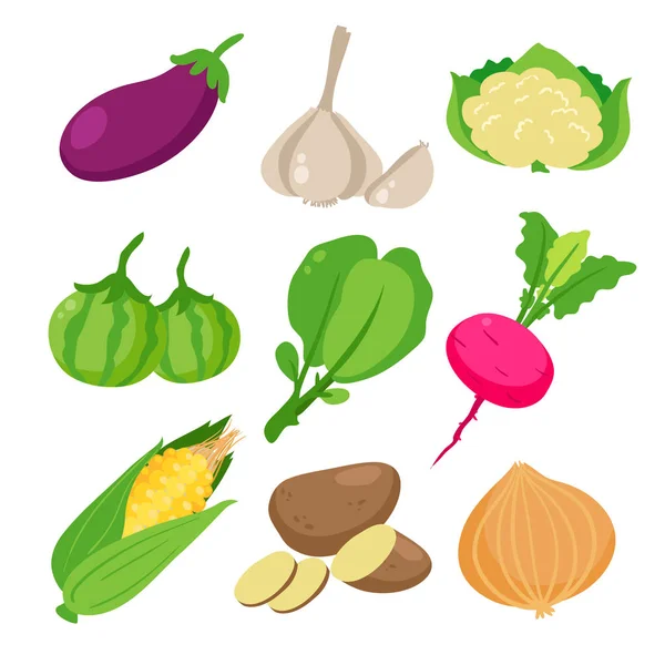 Diseño Recolección Vectores Vegetales Diseño Recolección Vectores Alimentos — Archivo Imágenes Vectoriales