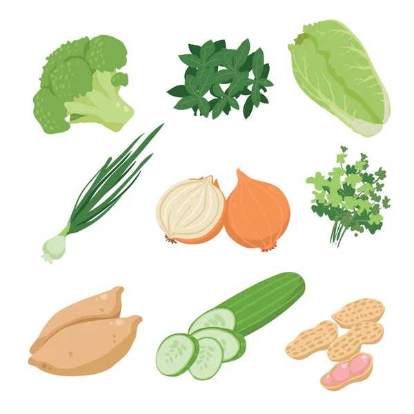 Vektorsammlung Für Gemüse Vektorsammlung Für Lebensmittel — Stockvektor