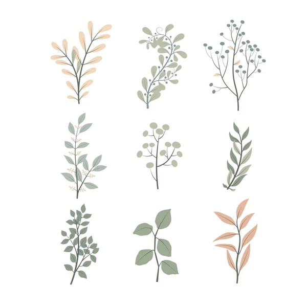 Bitki vektör dizaynı