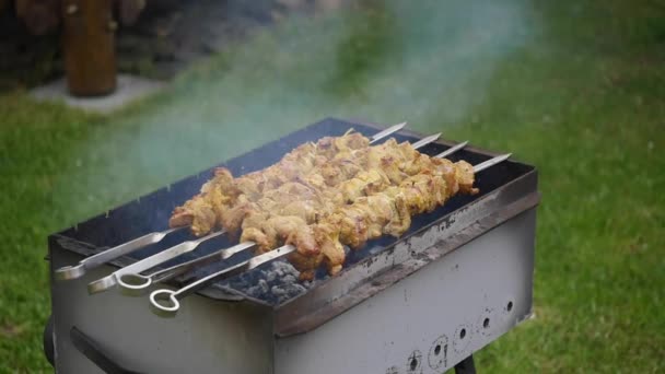 Cocinar Shish Kebab Aire Libre — Vídeos de Stock