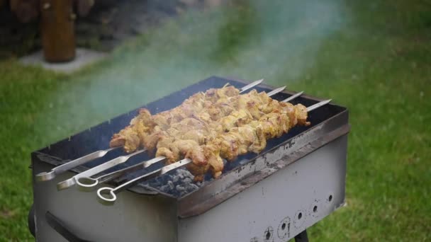 Cozinhar Shish Kebab Livre — Vídeo de Stock