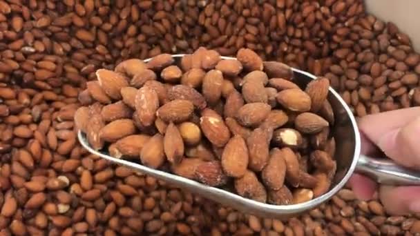 Ořechy Detail Potraviny Trh — Stock video