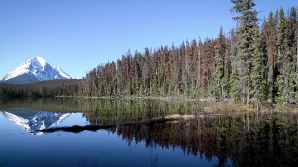 Beautiful Landscape Lake Mountains — Stock Video