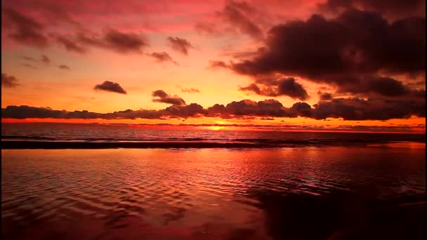 Belo Pôr Sol Brilhante Dia Verão — Vídeo de Stock