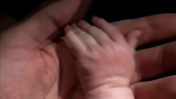 Betreuung Der Kinder Der Hände Des Babys Und Der Eltern — Stockvideo