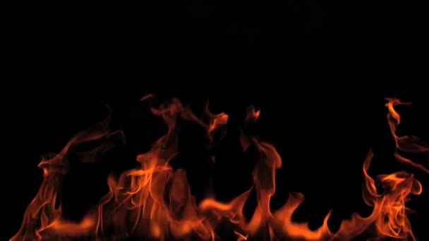 Feuer Auf Dunklem Hintergrund — Stockvideo