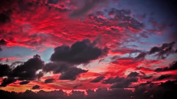 Krásné Růžové Nebe Při Západu Slunce — Stock video
