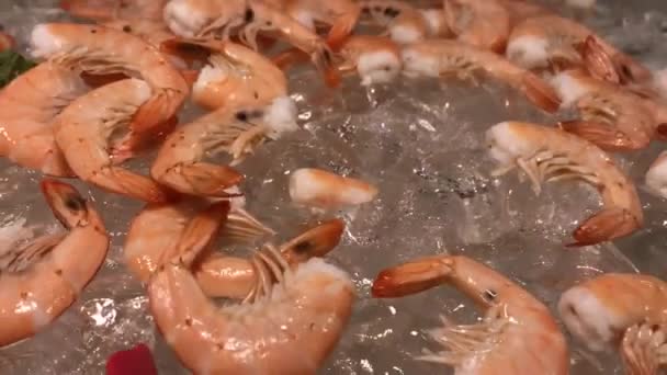Gros Plan Crevettes Fraîches — Video