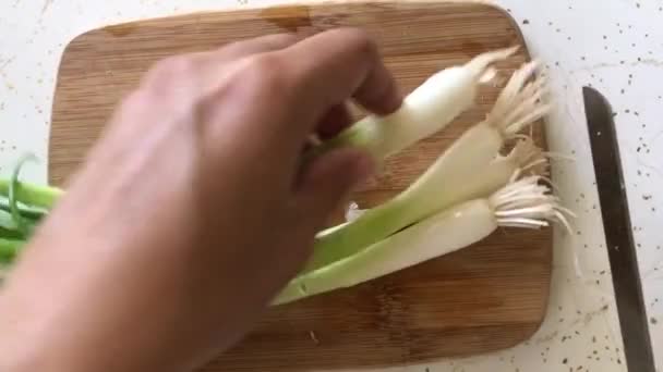 Slicing Green Onions Close Cutting — Stock Video