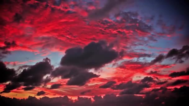 Vacker Rosa Himmel Solnedgången — Stockvideo