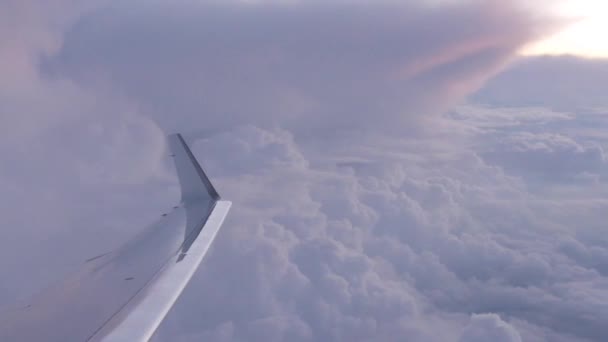 Ala Avión Volando Sobre Las Nubes — Vídeo de stock