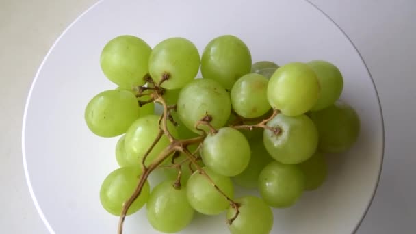 緑色のブドウをクローズ アップ — ストック動画