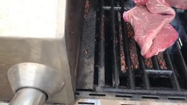 Varios Pollos Marinados Para Cocinar Kebabs — Vídeo de stock