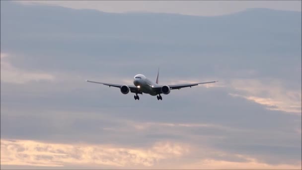 空を飛ぶ飛行機 — ストック動画