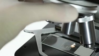 Bir bakteri virüsünün mikroskobik incelemesi