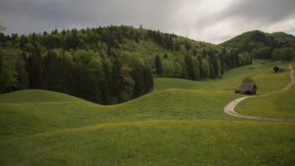 Frumos Peisaj Vară Luncă Pădure Cer — Videoclip de stoc