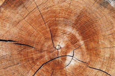 eski ahşap kırmızı doku