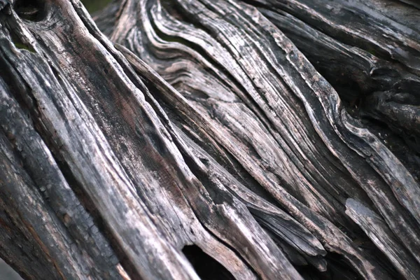 Madeira Velha Textura Cinza — Fotografia de Stock