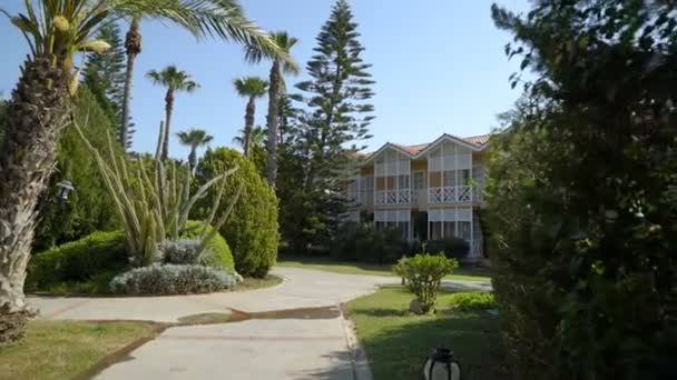 Blue sky, path among palm trees, camera movement forward — Stock Video