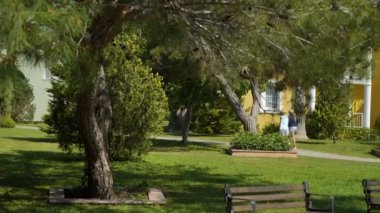 Bahar, insanlar uzakta, iğne yapraklı ağaçlar ile güzel yeşil sokak