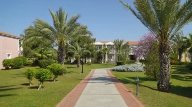 Yolu ile palmiye Park alanındaki bu arka plan mavi gökyüzünde rüzgarda sallanan ağaçların. Kamera hareketi ileri
