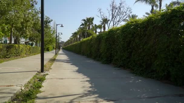 Caminho na área do Parque com árvores verdes que balançando no vento no fundo céu azul . — Vídeo de Stock