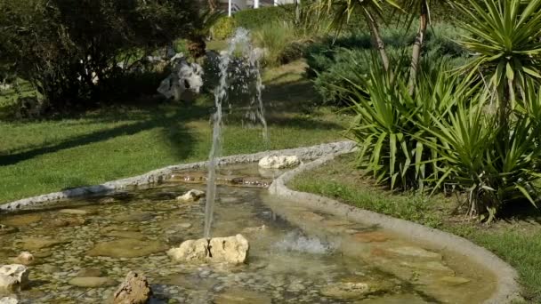 Маленький фонтан замедленного движения в парке с зелеными деревьями и пальмами. Вдалеке виднеется кувшин, из которого течет вода . — стоковое видео