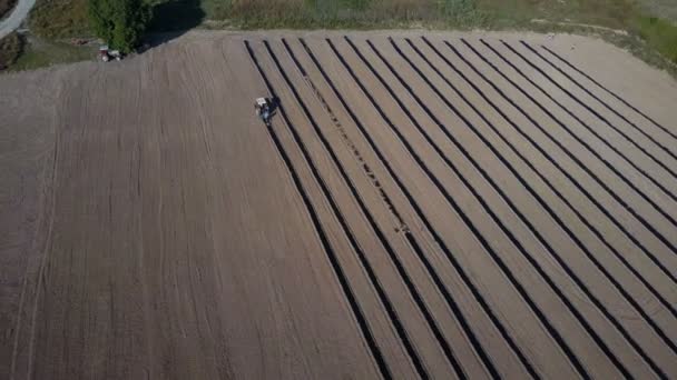 Tracteur agricole sur un champ brun. Le drone vole autour d'un tracteur travaillant à la campagne sur le terrain . — Video