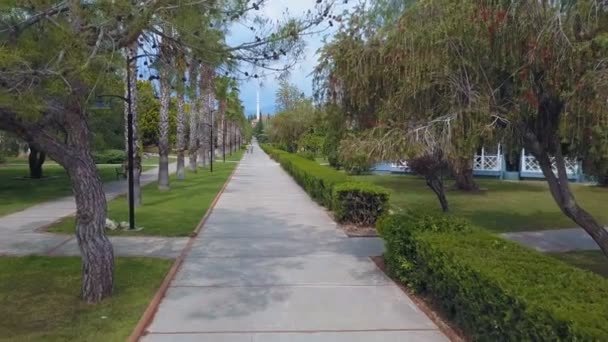 Park with palm trees and trees, centered path, top view, drone video, moving forward. — Stock Video