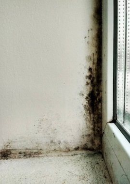 Fotoğraf kalıp pencere yamacında