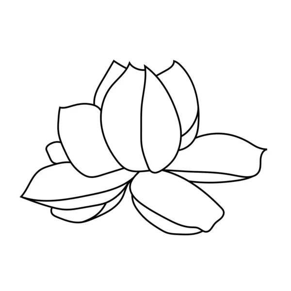 Lotus — Image vectorielle