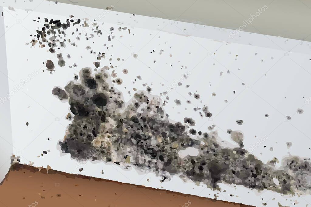 The image of black mold on the wall and floor in vector.