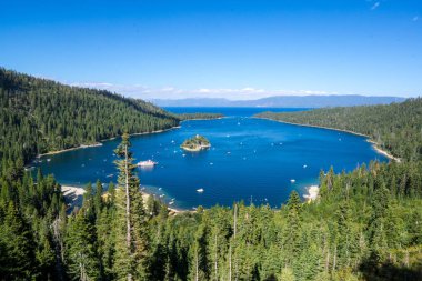 Zümrüt defne Lake Tahoe