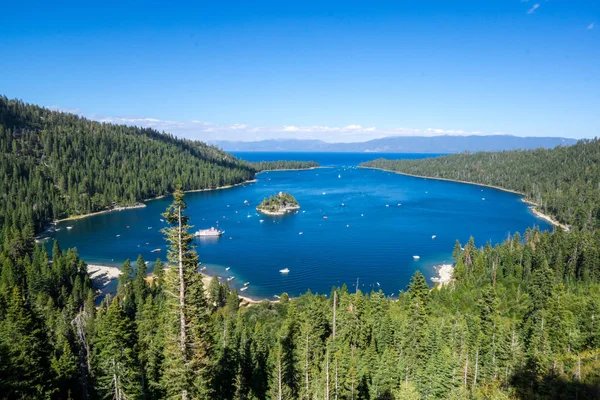 Zümrüt defne Lake Tahoe