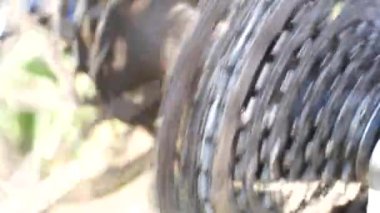 Bisiklette vites değiştir. Iletim. Bisiklet sprocket çalışması