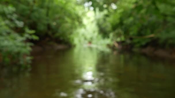 Río Fluye Través Del Bosque Desenfocado — Vídeo de stock