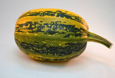 beyaz zemin üzerine yeşil çizgili yakın çekim sarı kabak