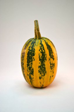 beyaz zemin üzerine yeşil çizgili yakın çekim sarı kabak