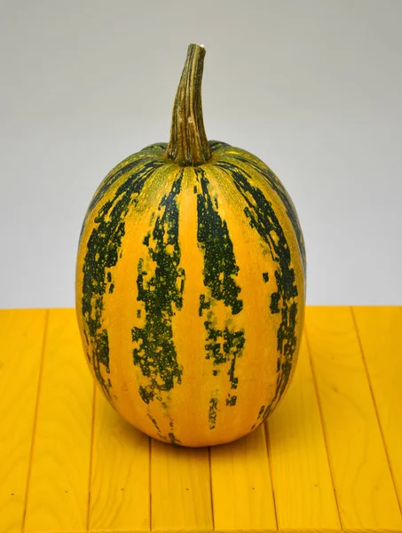 Yellow Pumpkin Green Stripes Close Pumpkin — Stock Photo, Image