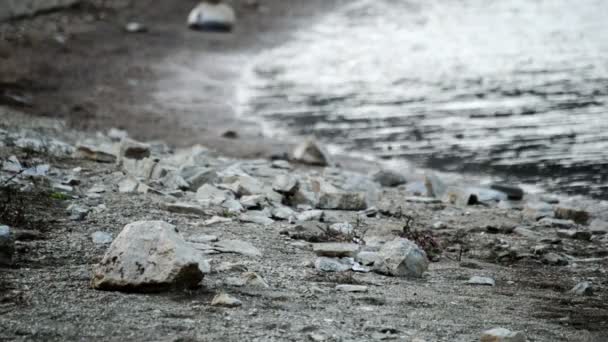 Playa Con Arena Pequeñas Rocas — Vídeos de Stock