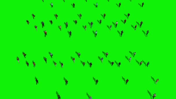 Crowd People Walking Green Screen Animation Rendu — Video