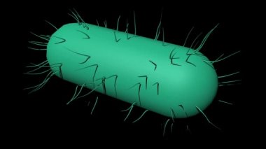 Bakteri hücre bilimi 3dthis resmin herhangi bir çubuk şeklinde bakteri, örneğin, tüberküloz, salmonella, şarbon, dizanteri, E. coli, tetanoz, sıtma, gıda zehirlenmesi tanımlamak için kullanılan.