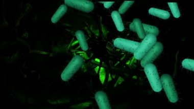 beyin aracılığıyla hızlı uçuş 3D animasyon