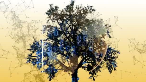 Змішані Носії Двох Анімації Дерева Двійкового Коду — стокове відео