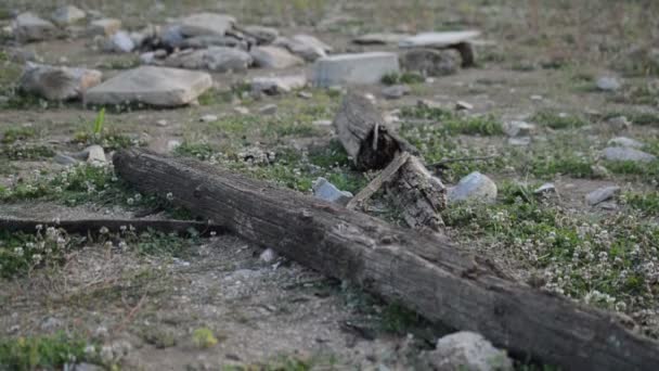 Stäng Upp Panoramautsikt Över Scenen Med Gamla Trä Pelare Och — Stockvideo