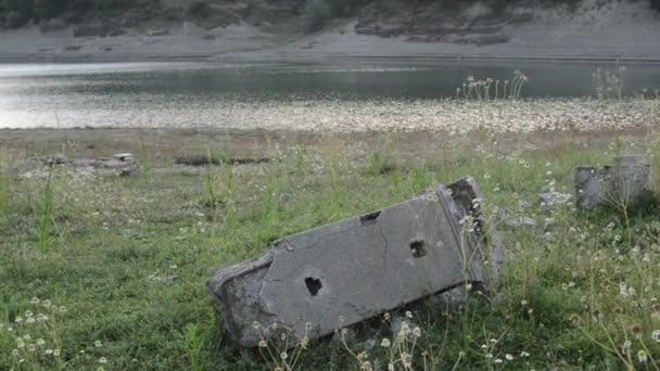 Detailní Záběr Panoramatické Scény Květy Heřmánku Staré Zničené Pilíř Jezerem — Stock video