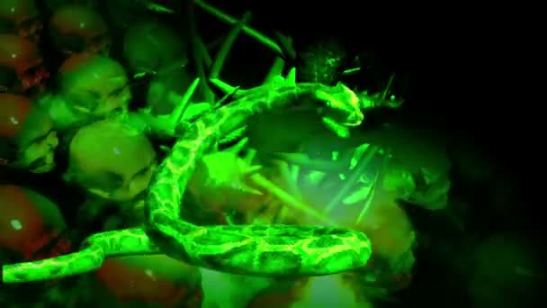 Animation Crâne Des Serpents Devant Écran — Video
