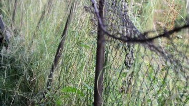 harap olmuş metal dikenli çitler