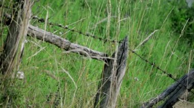 harabe ahşap ve metal dikenli çitler