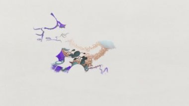 açığa vurmak - dijital boya yumurta doğru başlık spermlerinin 3d çizimi